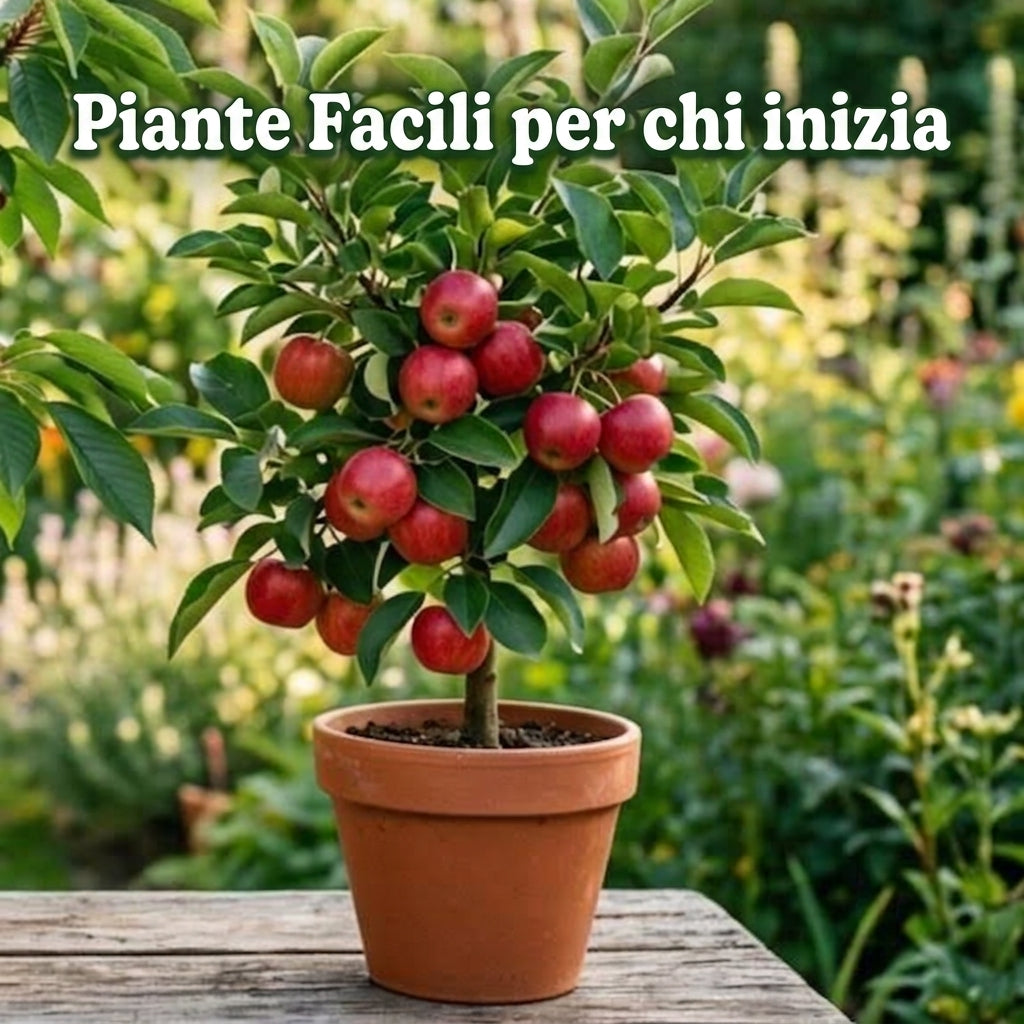 Piante Facili
